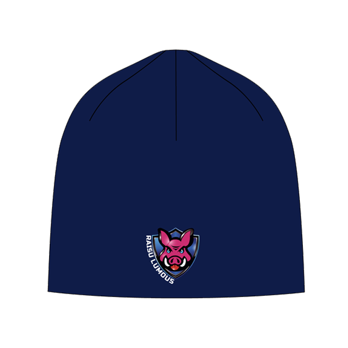 Disc Golf Accessories – Beanie (General logo)